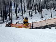 Discesa a valle innevata artificialmente