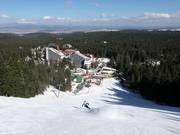 Pista nera Cherveno zname