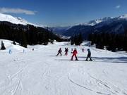 Piste facili presso lo skilift Caischavedra
