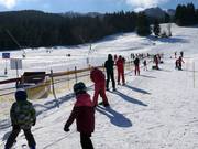 Übungslifte Kinderland - Manovia/Babylift a fune bassa