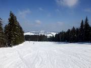 Discesa ampia e pianeggiante nella parte superiore