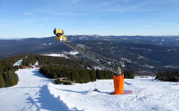 Sicurezza neve Zwieseler Winkel – Sicurezza neve Arber