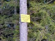 E' vietato sciare nei boschi