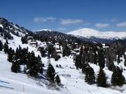 Alloggi nei boschi sulle piste