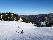 Discesa facile Almabfahrt