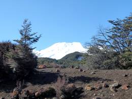 Tūroa - Mt. Ruapehu
