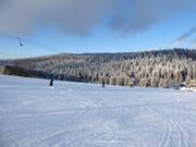 Pista e skilift a Herzogsreut