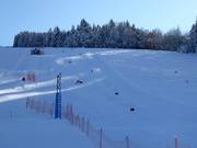 Pista da gara (pendio di allenamento delimitato)