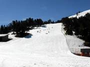 Pista Coll de la Botella