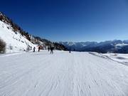 Inizio della pista Doss dei Cembri