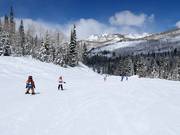 Pista facile presso la seggiovia Link