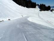 Inizio della pista presso la stazione a monte della Hörnerbahn