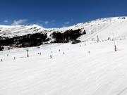 Area principianti Grau Roig