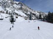 Piste facili presso la seggiovia Chickadee