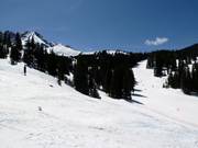 Le piste nella Prospect Bowl