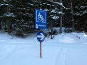 Suggerimento per i più piccoli 