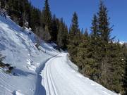 Pista d'altitudine Platschjoch