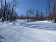 Discese da sogno attraverso foreste canadesi
