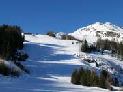 Pista Waldalm con Waldalmbahn