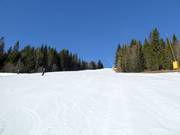 Pista Nore Midtre Nr. 6