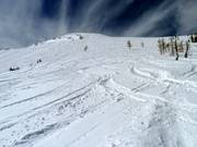 Infinita distese di neve fresca