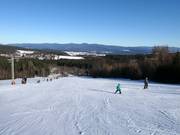 Pista facile presso lo skilift Forsthauslift