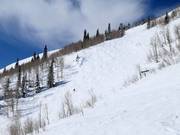 Pista ripida presso la Lady Morgan Express