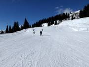 Pista facile presso lo skilift Caischavedra