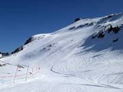 Pendio ripido Schwarzer Steilhang Wannen