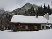 Buchaueralm presso la pista a valle