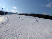 Pista ampia e facile Family