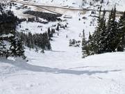 Terreno ripido a partire dall’High Traverse (Alf's High Rustler)