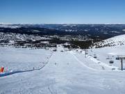 Pista intermedia n. 53