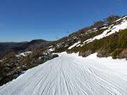 Pista Mother Johnson's Return