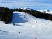 Vista sulle piste del Sonnkogel