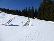 Nastro trasportatore a Fiorentini