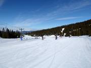 Pista di esercitazione Gaiastova