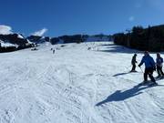 Terreno ideale per principianti all'Aberg