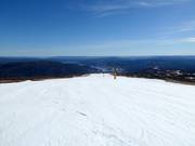 Pista facile e larga Panoramabakken n. 19