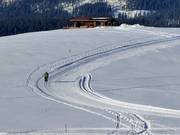 Pista da fondo in quota Loferer Alm
