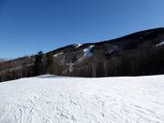 I principianti amano le piste facili e larghe