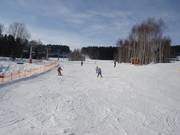 Discese per principianti