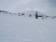 Zona di neve fresca al Gaustablikk