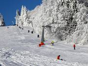 Almwiesenlift - Skilift con T-bar/ancora