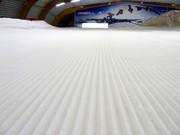 Pista preparata nella Skihalle Ice Mountain