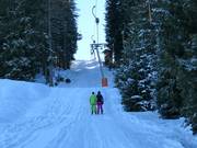 Ochsenhöflelift - Skilift con T-bar/ancora
