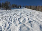 Ampio pendiodi neve fresca sotto la Alp Pradame