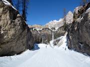 Pista n. 62 Vitelli Bassa