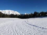 Piste da fondo a Hoch-Imst