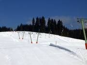 Wasenlift I - Skilift con T-bar/ancora